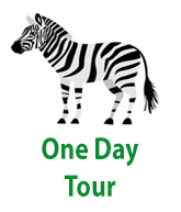 1 day tours uganda.png