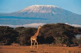 Kilimanjaro climb.jpg