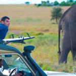 elephant-tour-tanzania.jpg