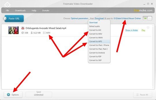 Freemake video downloader: settings