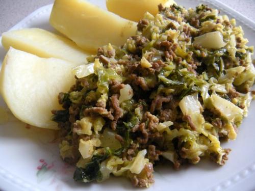 Savoy cabbage and minced meat sauce