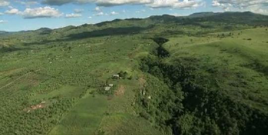 Increasing number of clashes between animals and humans across the country Chimp gorge