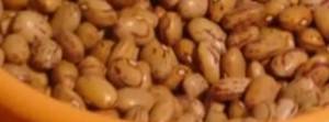 borlotti-beans