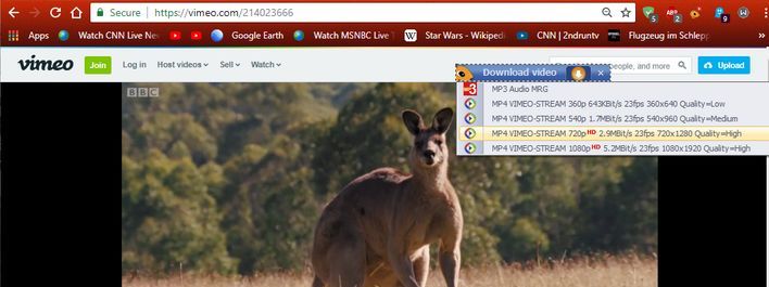 Ant Download Manager: Video box as it appears in Google Chrome, Vivaldi and Opera browsers